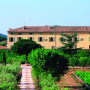La route des vins – Vacances sur la Côte d’Azur